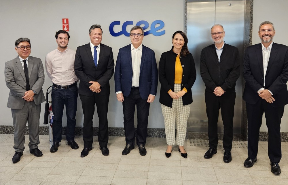 Foto dos conselheiros e executivos da CCEE, acompanhados do deputado federal Danilo Forte