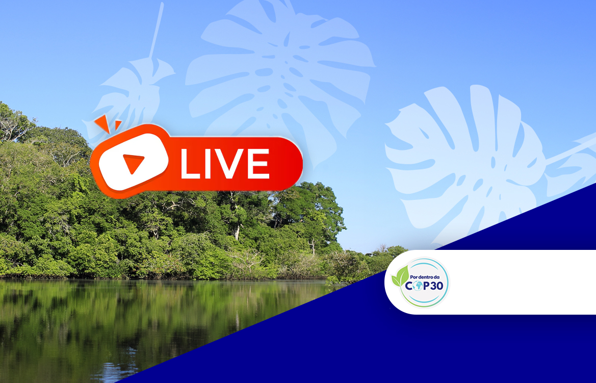 A imagem mostra uma paisagem amazonense, com o selo CCEE na COP